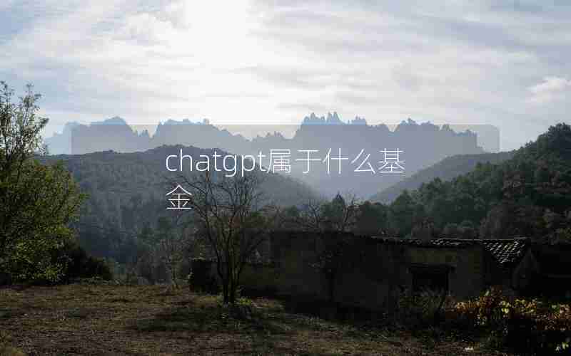 chatgpt属于什么基金