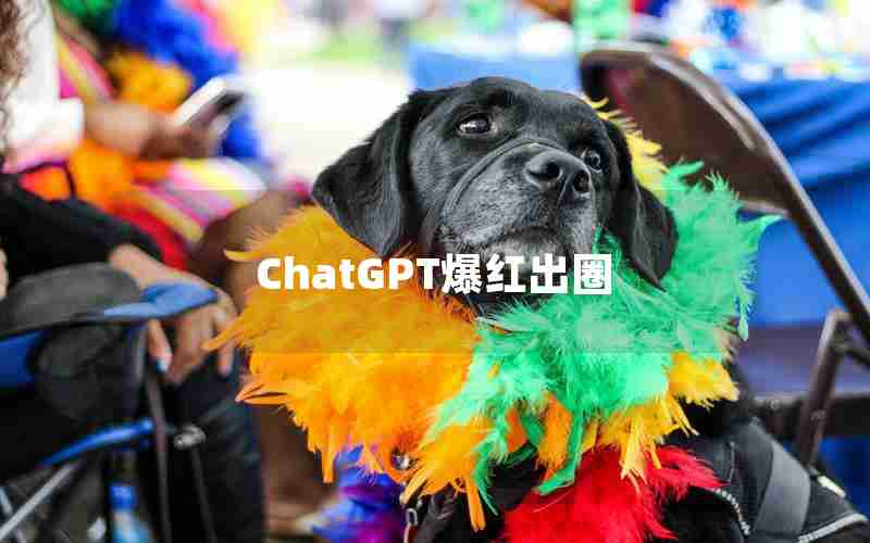 ChatGPT爆红出圈