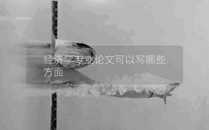 经济学专业论文可以写哪些方面