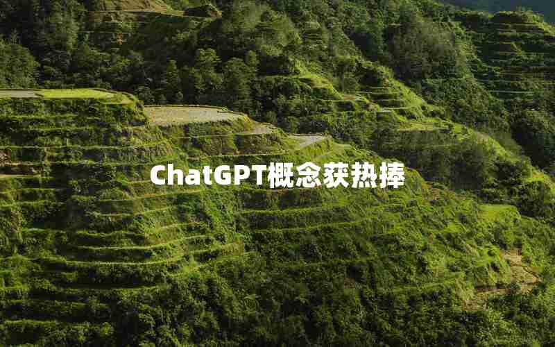 ChatGPT概念获热捧