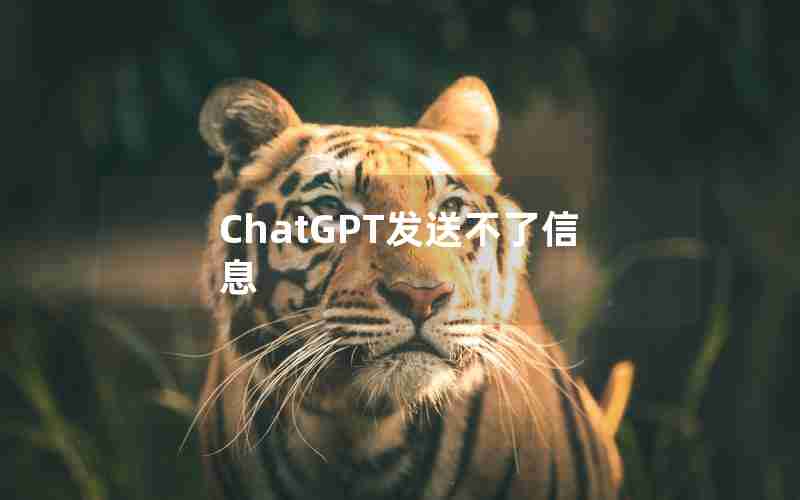 ChatGPT发送不了信息