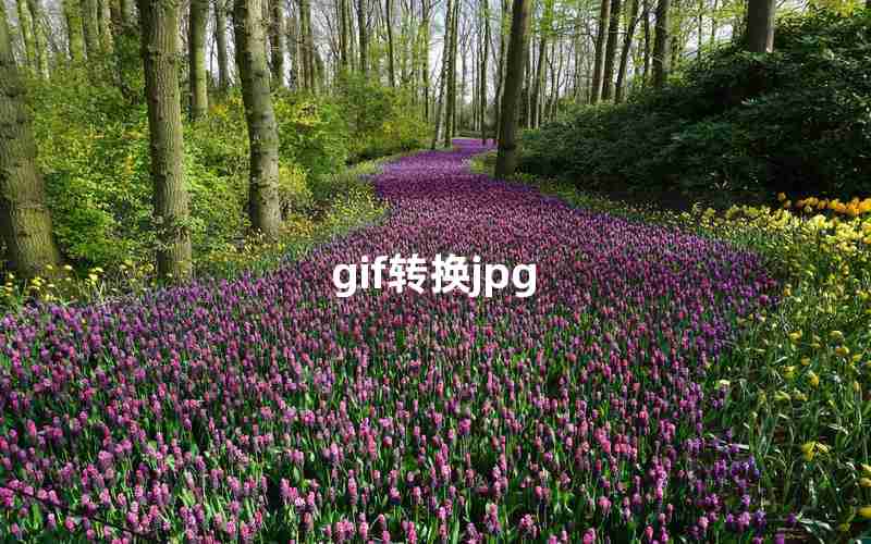 gif转换jpg