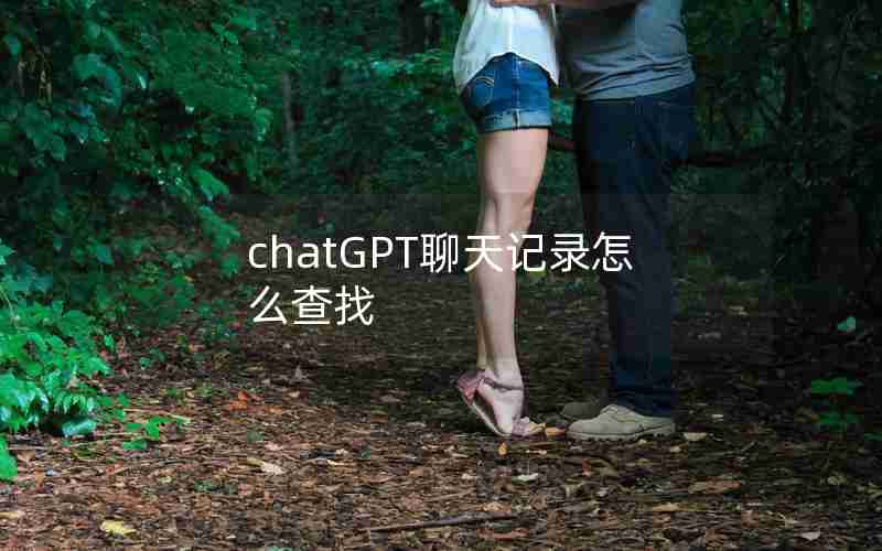 chatGPT聊天记录怎么查找