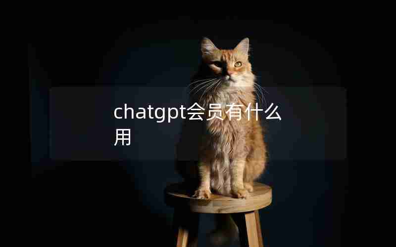 chatgpt会员有什么用