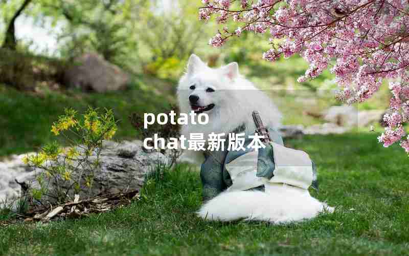 potato chat最新版本