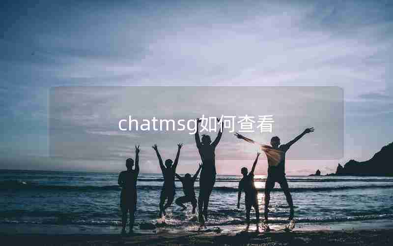 chatmsg如何查看