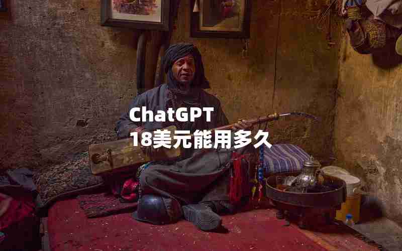 ChatGPT 18美元能用多久