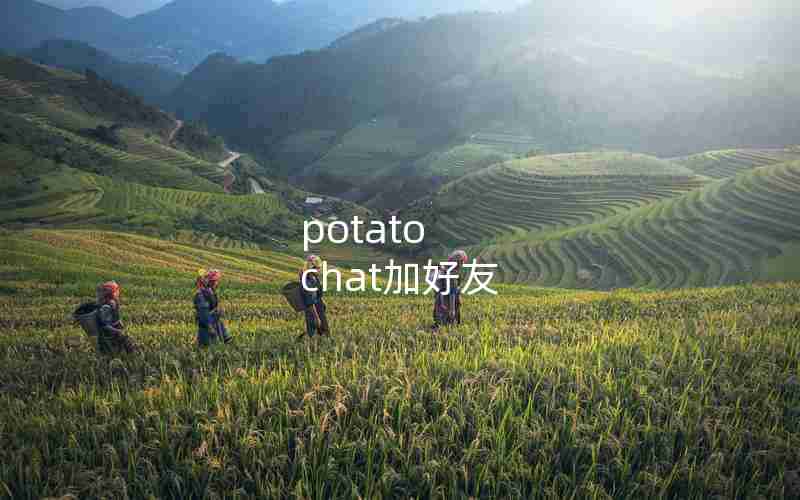 potato chat加好友