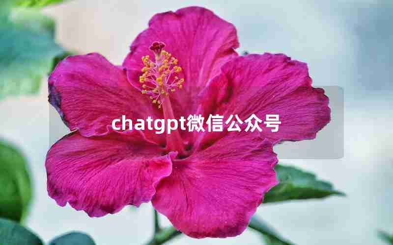 chatgpt微信公众号