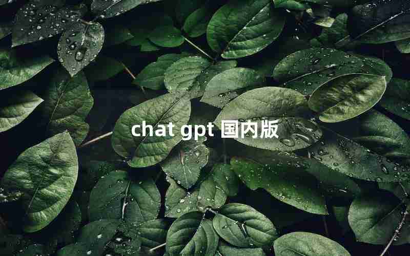 chat gpt 国内版