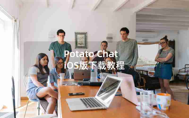 Potato Chat iOS版下载教程