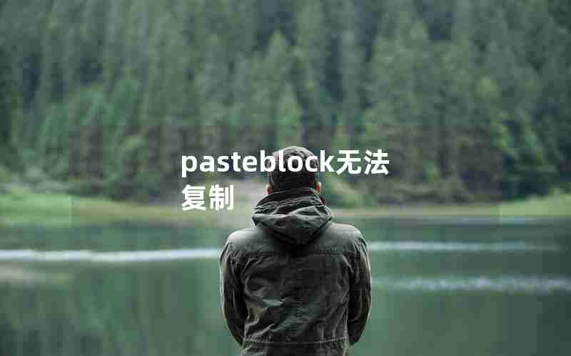 pasteblock无法复制