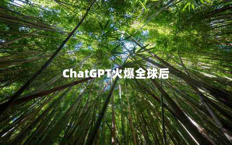 ChatGPT火爆全球后