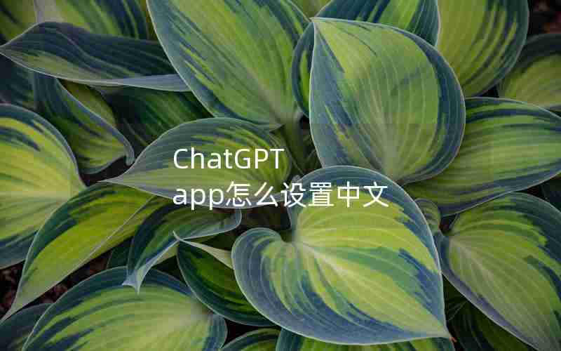 ChatGPT app怎么设置中文