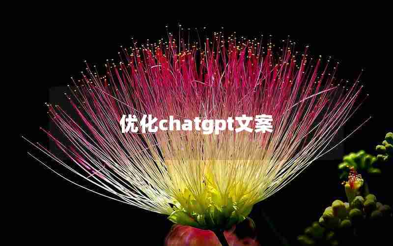 优化chatgpt文案