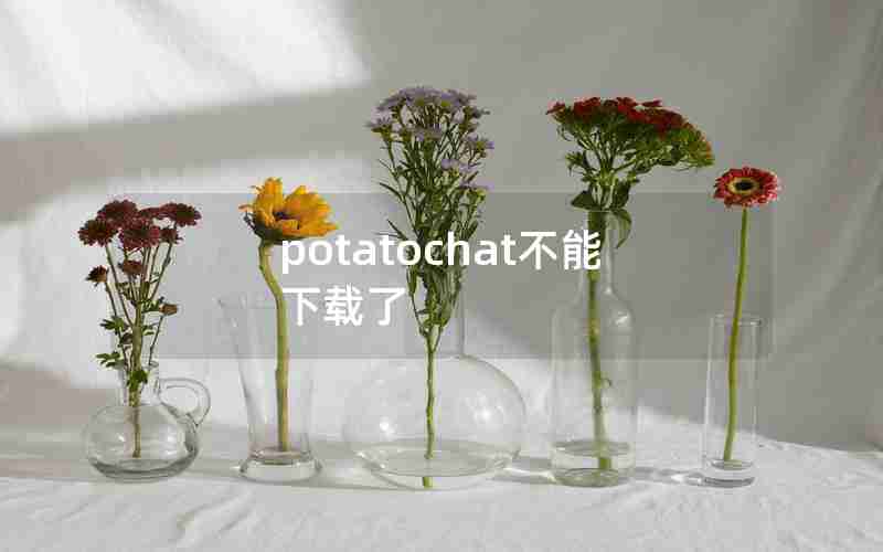 potatochat不能下载了