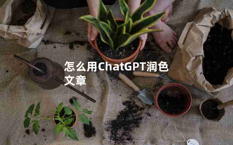 怎么用ChatGPT润色文章