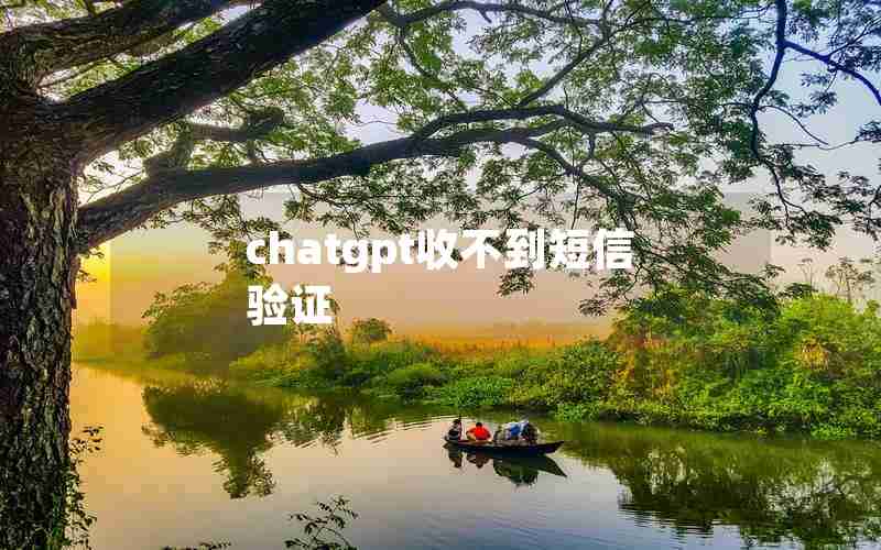 chatgpt收不到短信验证