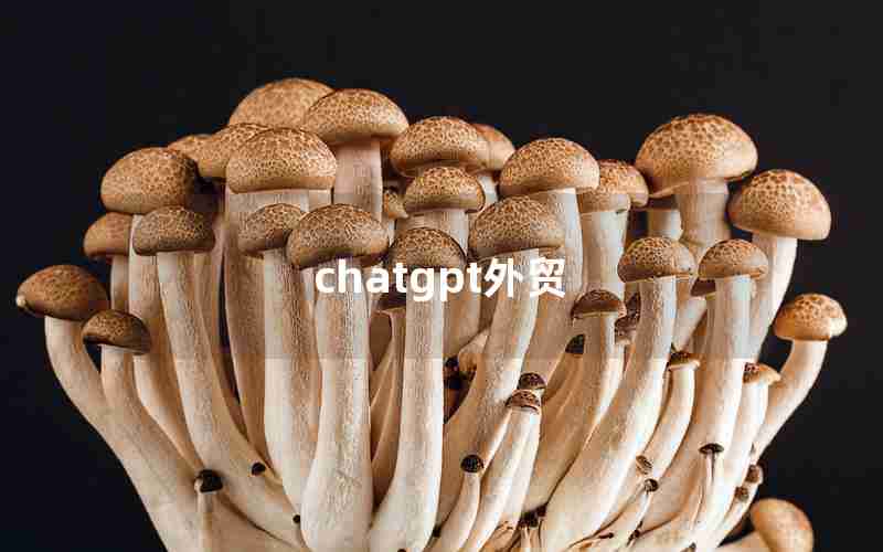 chatgpt外贸