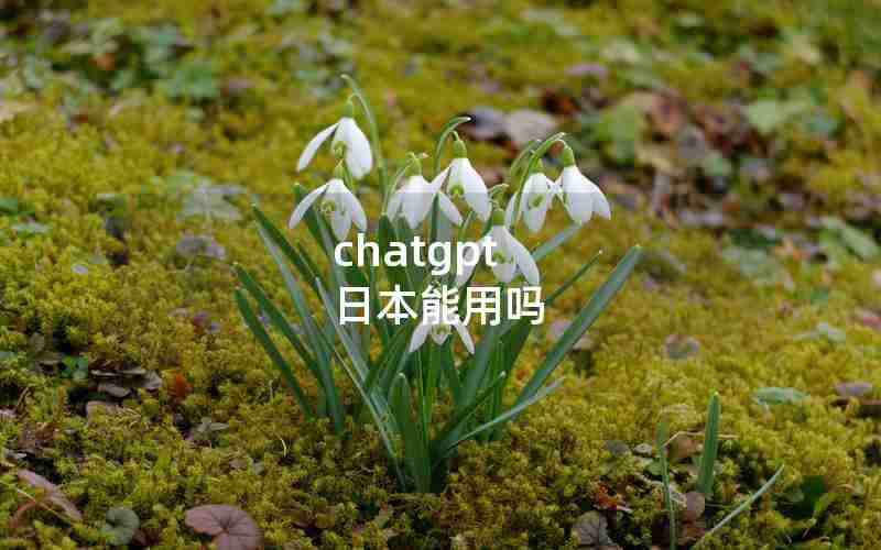 chatgpt 日本能用吗