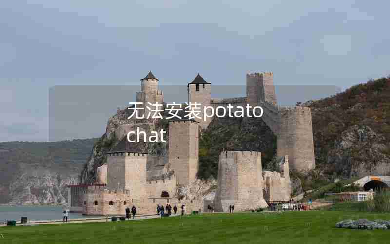 无法安装potato chat