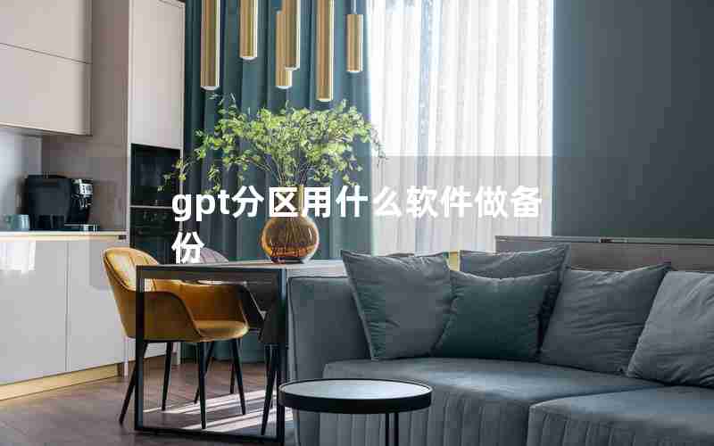 gpt分区用什么软件做备份