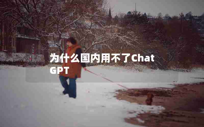 为什么国内用不了ChatGPT