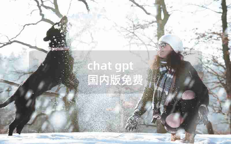 chat gpt 国内版免费