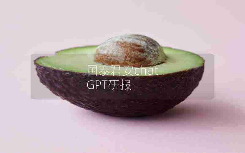 国泰君安chat GPT研报