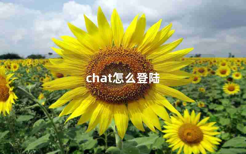 chat怎么登陆