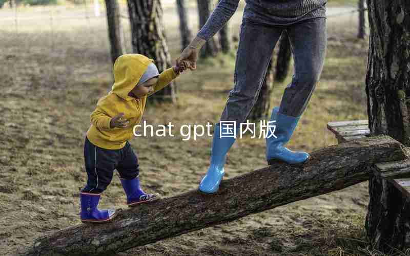 chat gpt 国内版