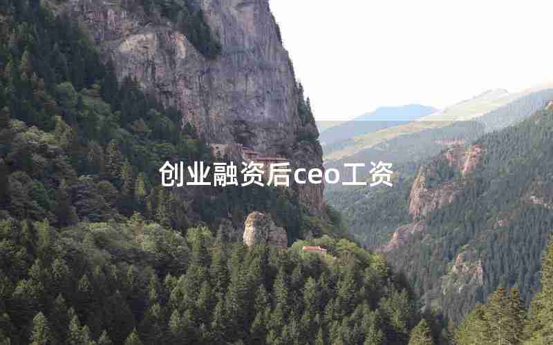 创业融资后ceo工资