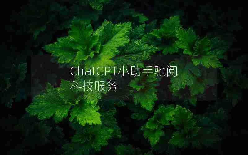 ChatGPT小助手驰阅科技服务