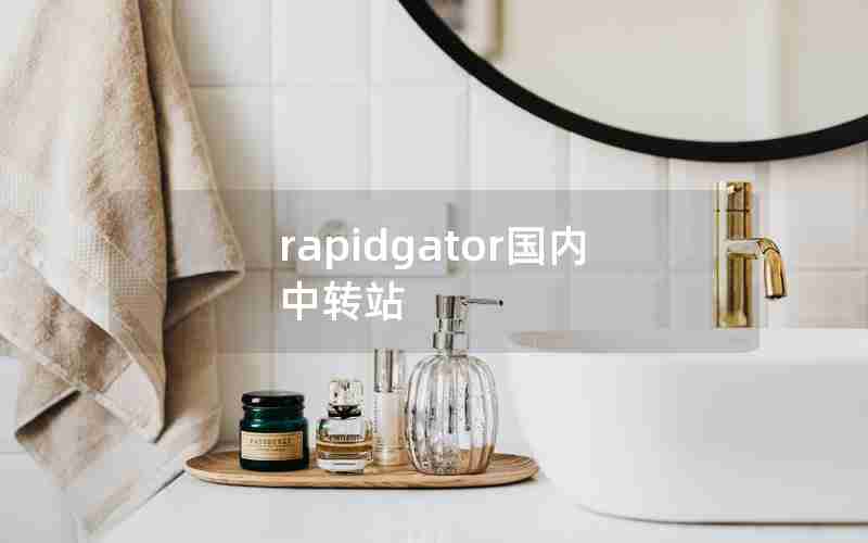 rapidgator国内中转站,中国用户怎么用ChatGPT