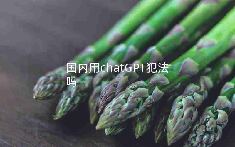 国内用chatGPT犯法吗