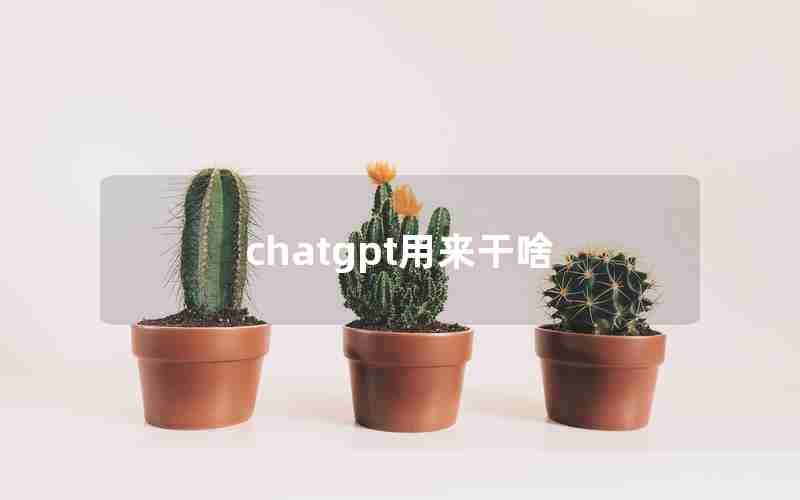 chatgpt用来干啥