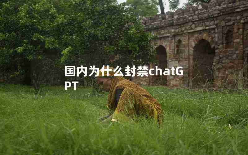 国内为什么封禁chatGPT