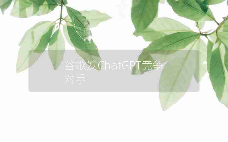 谷歌发ChatGPT竞争对手