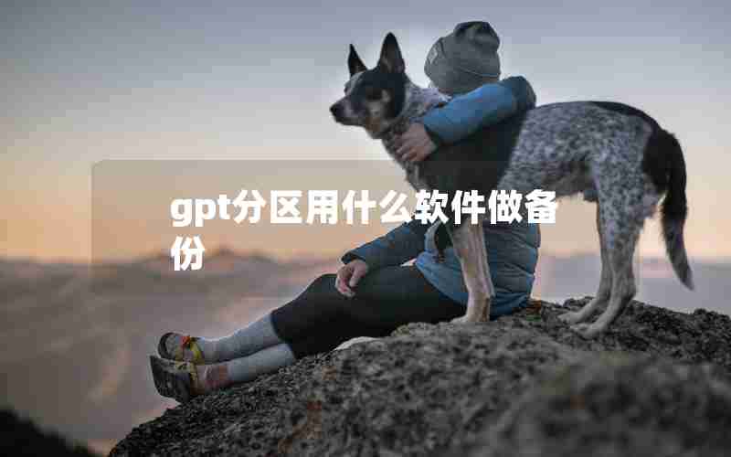 gpt分区用什么软件做备份