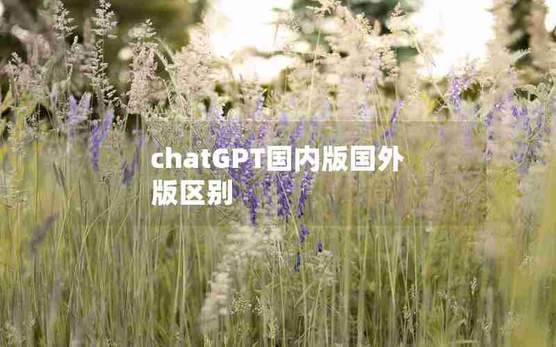 chatGPT国内版国外版区别