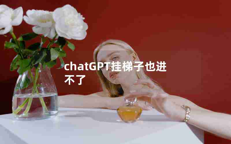 chatGPT挂梯子也进不了