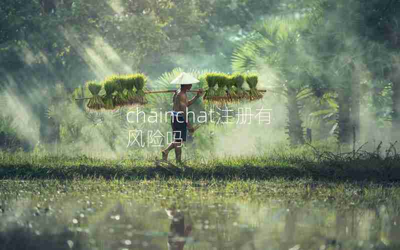 chainchat注册有风险吗