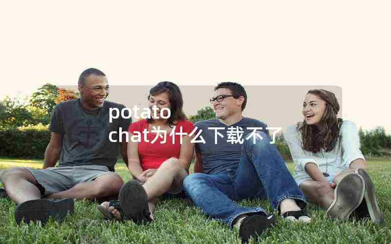 potato chat为什么下载不了