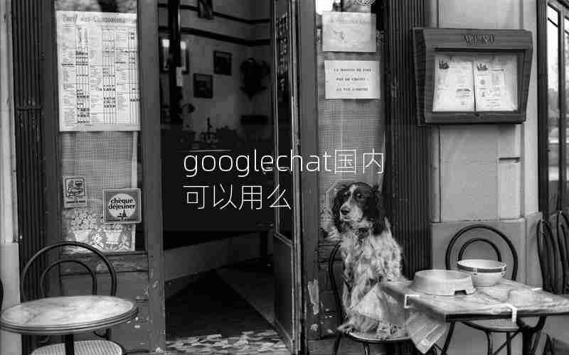 googlechat国内可以用么