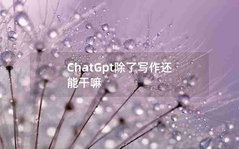 ChatGpt除了写作还能干嘛