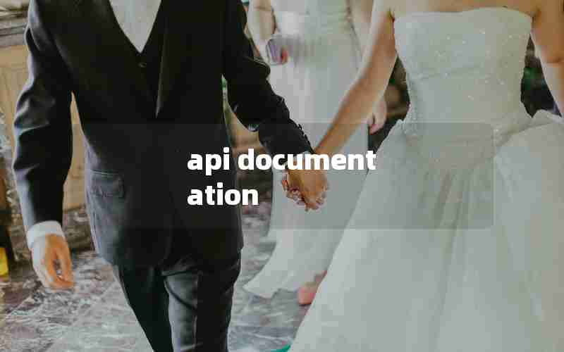 api documentation