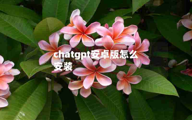 chatgpt安卓版怎么安装