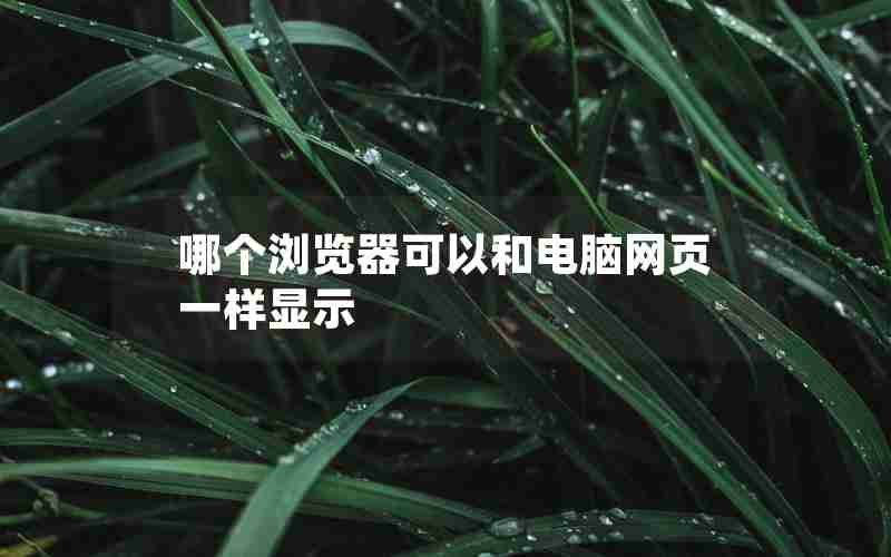 哪个浏览器可以和电脑网页一样显示