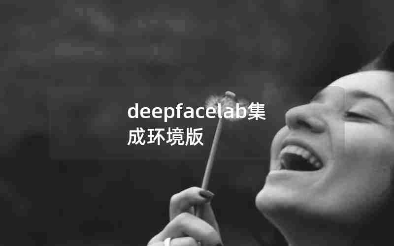 deepfacelab集成环境版