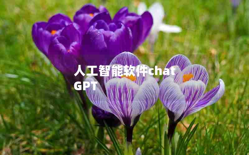 人工智能软件chat GPT